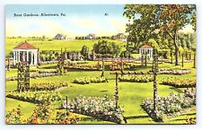 Postcard Rose Gardens in Allentown Pennsylvania PA picture