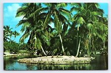 Postcard Florida's Secluded Retreats Exotic Island Clear Blue Waters Palm Trees picture