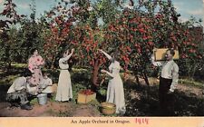 Beaverton OR Oregon Apple Orchard Farm Picking Early 1900s Vtg Postcard E37 picture