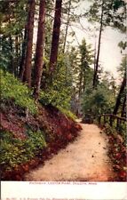 Pathway Lester Park Duluth MN Minn Postcard Unposted Divided Back picture