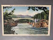 Vintage 1930s-1940s Mt. Washburn Yellowstone National Park Postcard Unposted Vtg picture