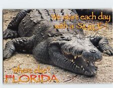Postcard Florida Alligator USA picture