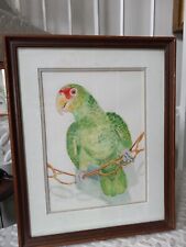 Vintage Aquarium Pet Store Red Crowned Amazon Parrot Framed Original Painting picture