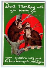Nash Postcard Monkey With Your Family Tree Worcester Massachusetts MA 1913 picture