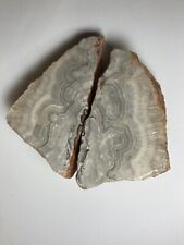 crazy lace agate polished picture