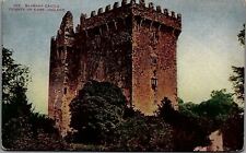 c1910 IRELAND BLARNEY CASTLE COUNTY OF CORK EARLY POSTCARD 34-293 picture