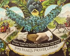 Antique Postcard,Germany,FOND HEARTS FOR EVER LINKED,FLOWERS,LOVE,HORSES,PARROTS picture