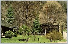 Columbiana County Ohio 1970s Postcard Gaston's Mill Beaver Creek State Park picture