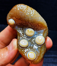 TOP 112G Natural Gobi Agate Eyes Agate Crystal Stone Madagascar L2248 picture