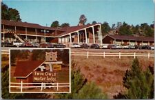 c1950s ESTES PARK, Colorado Postcard TWIN OWLS MOTOR LODGE Highway 667 Roadside picture