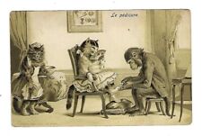 1908 Postcard Monkey Doing A Pedicure on Cats - Embossed picture