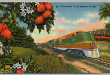 Postcard Florida Train Orange Blossom Special Miami Streamliner 1956 Posted picture