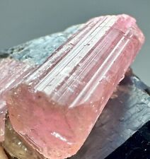 515 Cts Extra Ordinary Highest Quality Pink Tourmaline Huge Crystals On Quartz picture