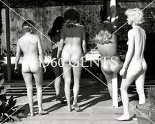 1960s Photo Print Big Breasts Blondes Brunettes Laurel Canyon LC7 picture