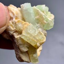 116 Cts Beautiful Bi colour  Tourmaline Crystals Bunch Specimen from Afghanistan picture