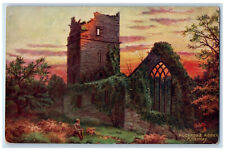c1910 Muckross Abbey Killarney Ireland Antique Oilette Tuck Art Postcard picture