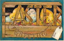 Easter Greeting Chicks in Crate Embossed Vintage Postcard C1910 picture