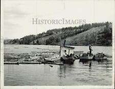 1966 Press Photo Timber Being Floated Down Oulu River in Lapland, Finland picture