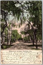 1908 Ridgewood Avenue Daytona Florida Roadway & Trees Attraction Posted Postcard picture