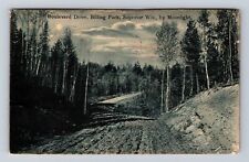 Superior WI-Wisconsin, Boulevard Drive, Billing Park, Vintage c1910 Postcard picture