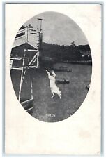 c1905 Horse Diving Canoeing Queen Hold To Light HTL Unposted Antique Postcard picture