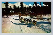 Alaska, AK-Alaska, Husky Dog Team Antique, Vintage Souvenir Postcard picture