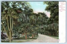 1908 TRIPLE ROYAL PALM RIDGEWOOD AVENUE*DAYTONA BEACH FLORIDA*SEABREEZE POSTMARK picture