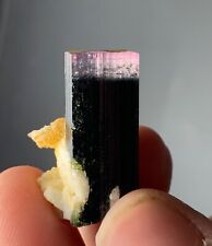 51 CTS Pink Cap Tourmaline Crystal  From Afghanistan picture