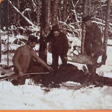 c1920 Hunters with Fallen Large Moose Winter Snow Stereoview Keystone A5 picture