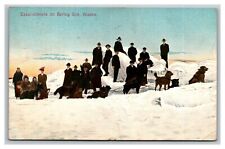 Vintage 1912 Postcard Sled Dogs & Excursionist on Bering Sea Alaska picture