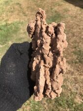 HUGE Rare large 1 LBS Fulgurite Lightning Stone Florida 447g Rough Raw Mineral picture
