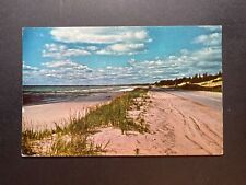 Mackinaw Michigan MI Postcard The Water Wonderland Sand Surf Sun picture