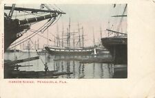 UDB Postcard; Pensacola FL Harbor Scene, Tall Ships at Anchor, Unposted picture