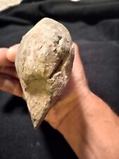 Pre 1600 Hand Axe/Side Chopper 100%Authentic Museum Quality 1 Of A Kind Artifact picture