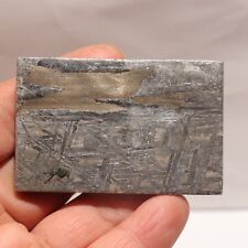 76g  Muonionalusta meteorite part slice  A172 picture