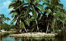 Florida secluded retreats island clear blue waters beaches lush vegetat Postcard picture
