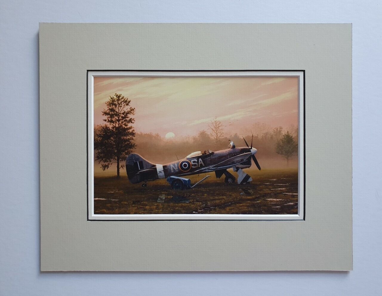 Aviation Aircraft Art Mounted Prints MULTI by Stephen Brown Tempest SE5a Me262A