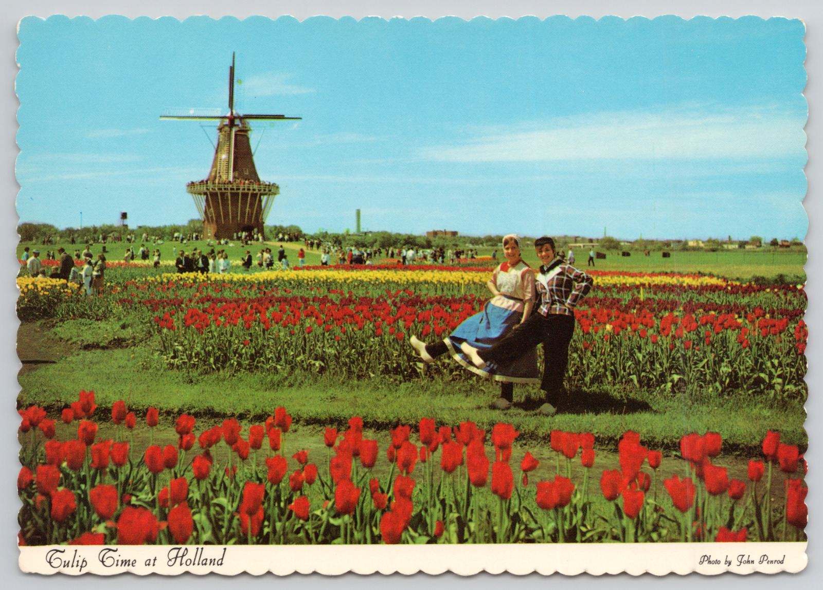 Holland Michigan Tulip Time Festival Continental Chrome Vintage Postcard