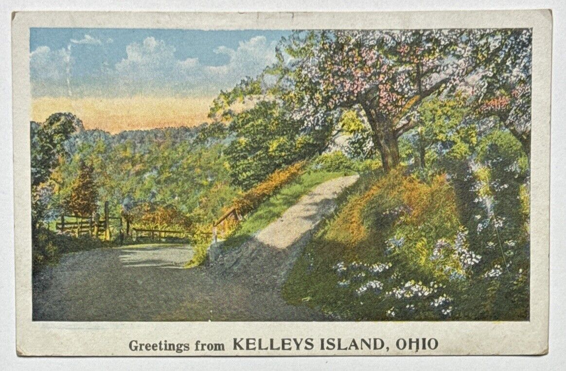 Greetings from Kelleys Island Ohio OH Country Scene Antique Postcard