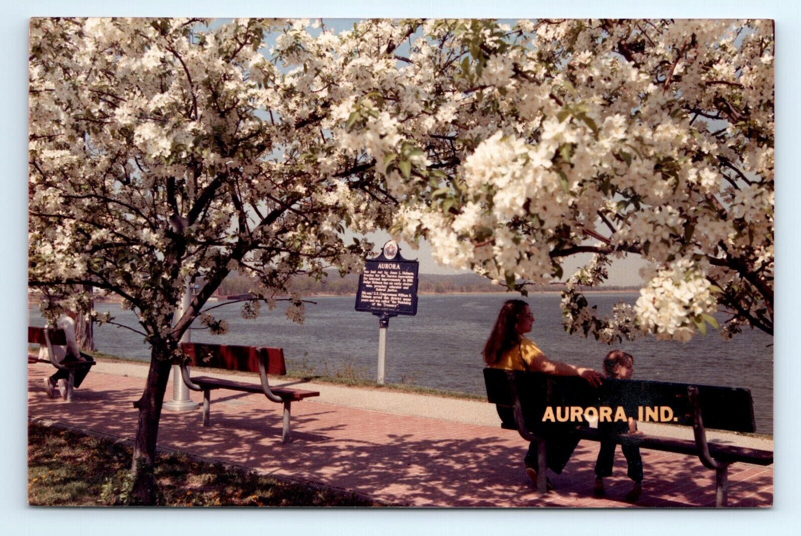 Lesko Park Ohio River Blooming Trees Aurora IN Postcard
