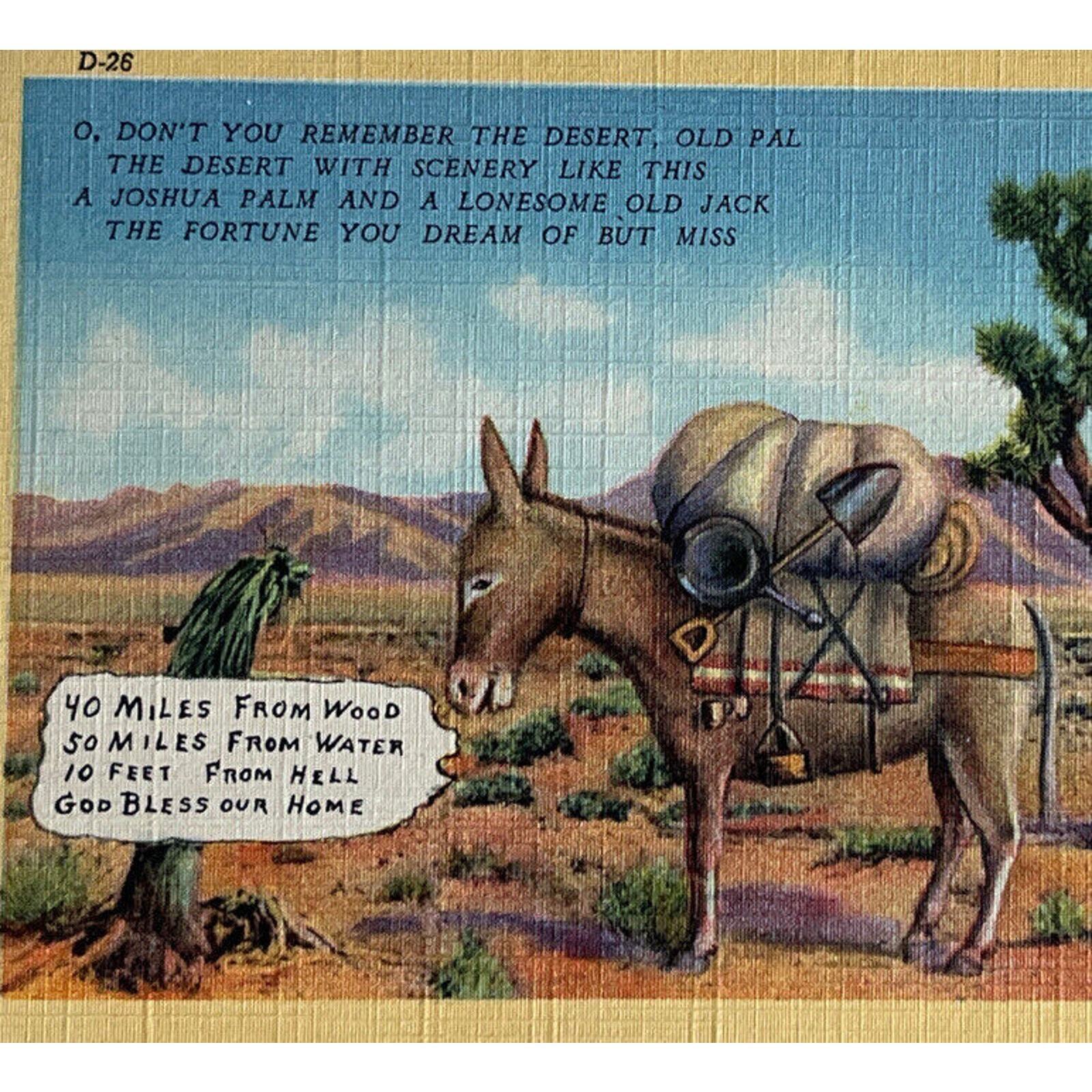 Vintage 1930s Genuine Curteich-Chicago Postcard CT Art Colortone Lollesgard Co