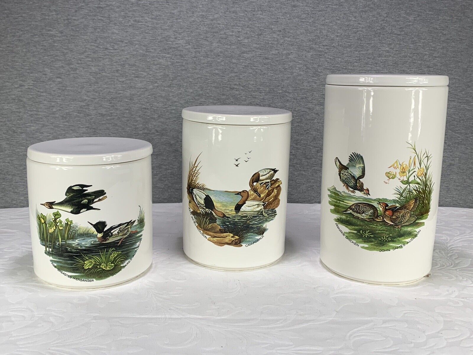 Rare John James Audubon Pfaltzgraff Canister Set Pottery w/ Lids EUC Birds Ducks