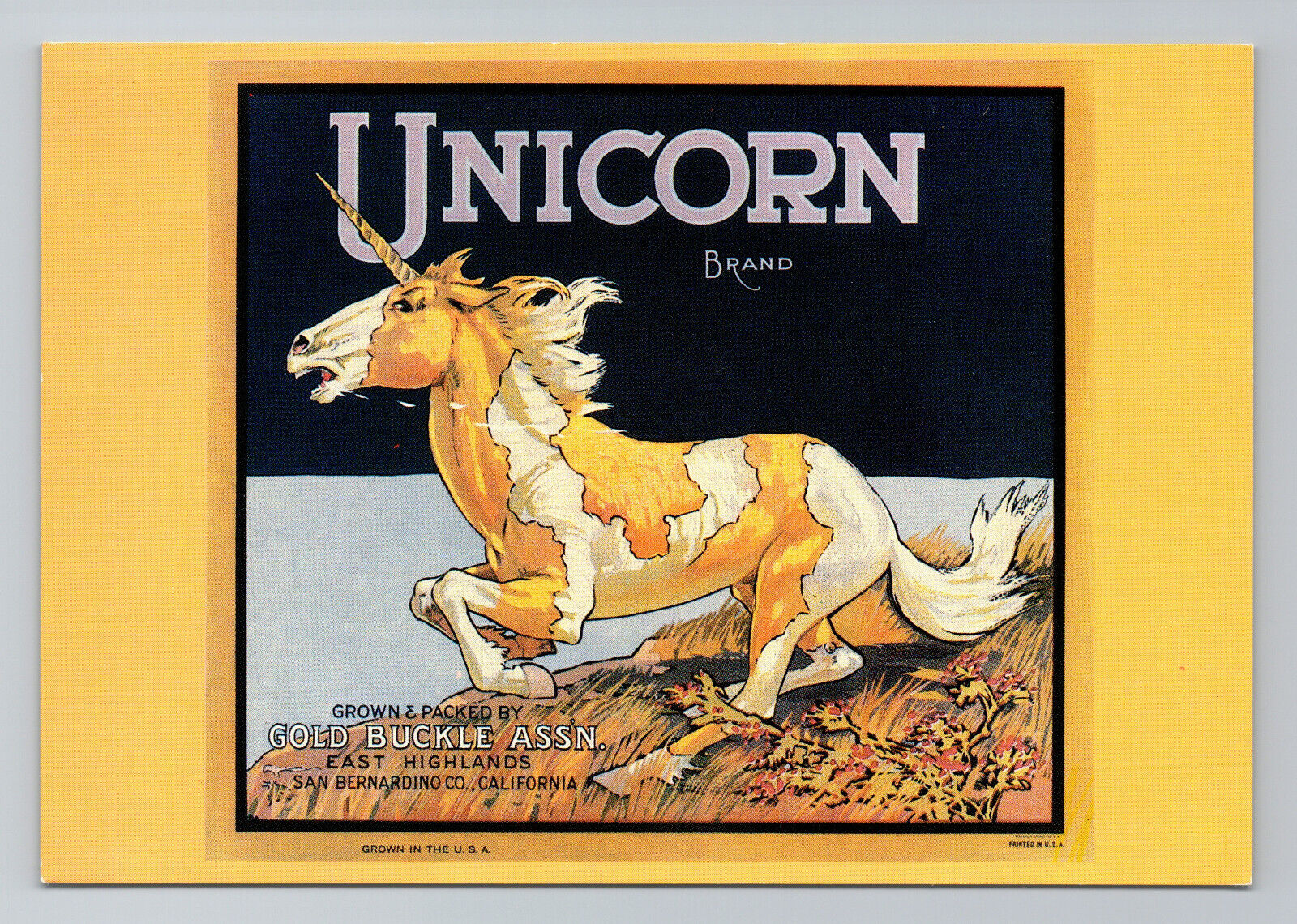 1980s Unicorn Brand Gold Buckle Assn Vintage Citrus Label Postcard