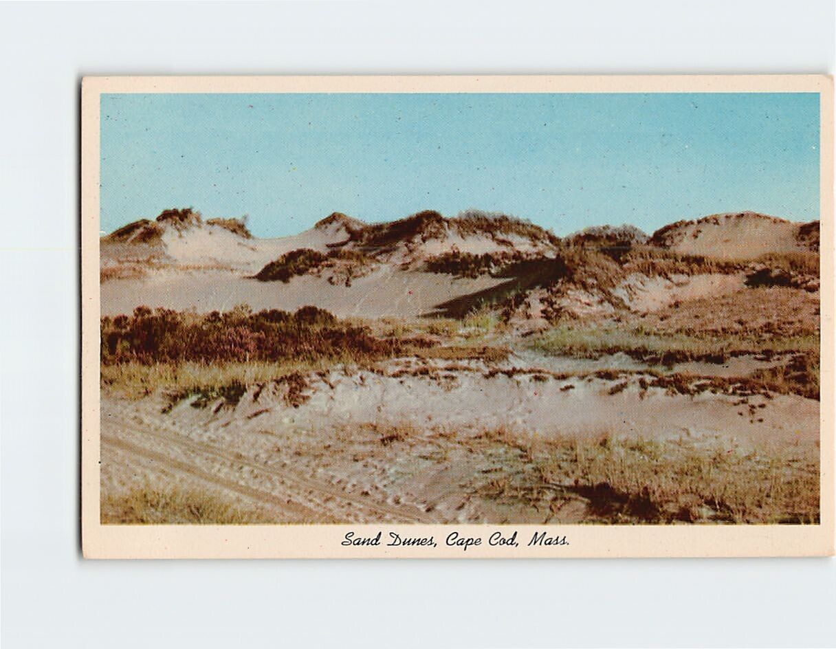 Postcard Sand Dunes Cape Cod Massachusetts USA