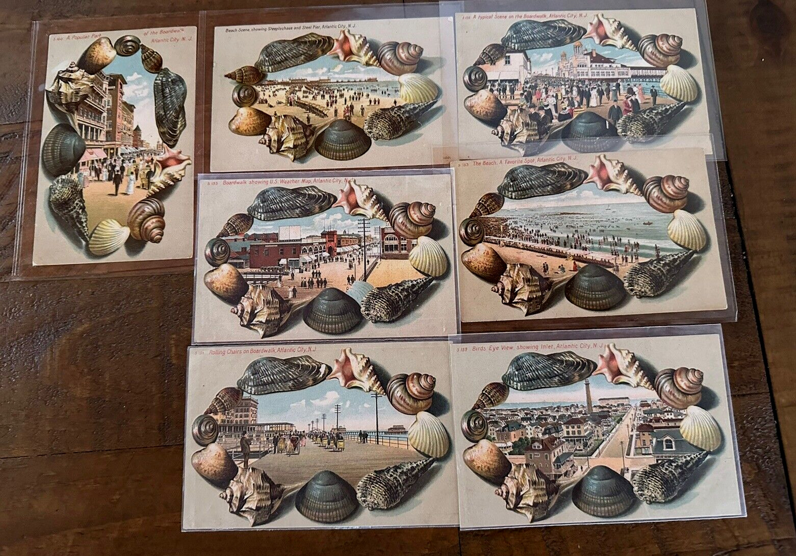 Lot of 7 Antique Souvenir Shells Seashell Border~Postcards~Atlantic City NJ~k486