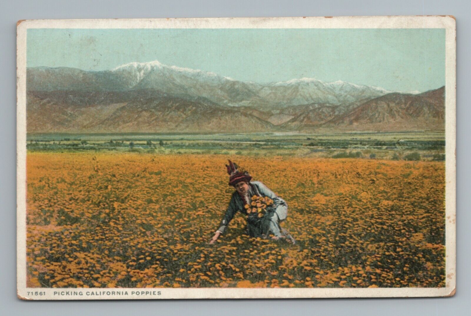 c.1920s Woman Picking California Poppies Vintage Postcard
