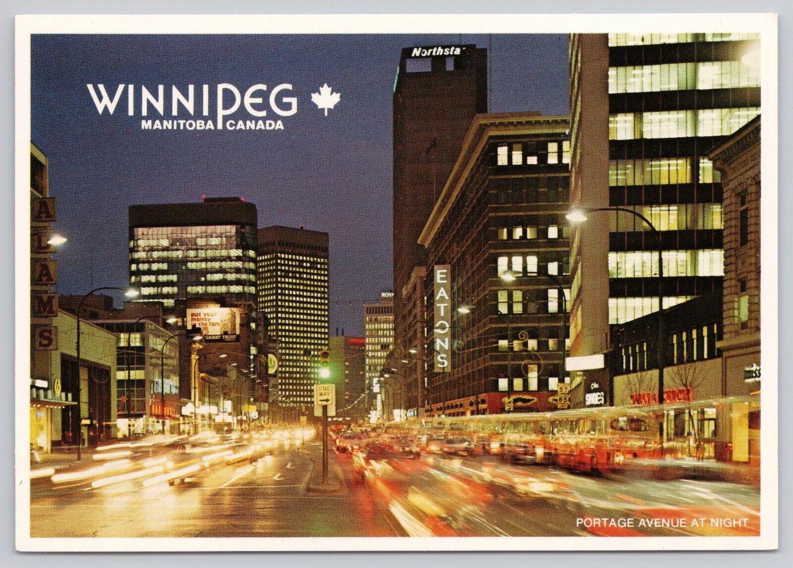 Winnipeg Manitoba Canada, Portage Avenue at Night, Eatons, Vintage Postcard