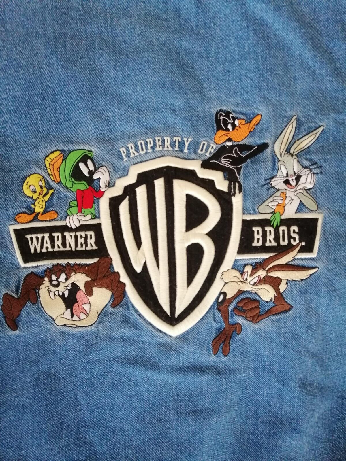 1999 Retro Warner Bros Denim Bomber 