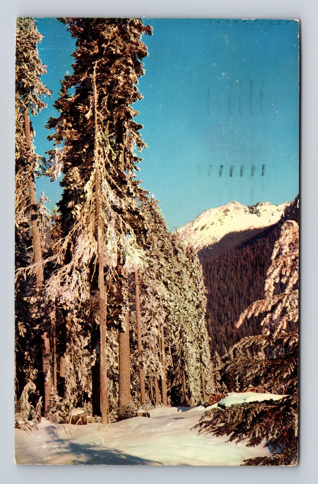 WA- Washington, Snoqualmie Pass Summit, Antique, Vintage c1959 Souvenir Postcard