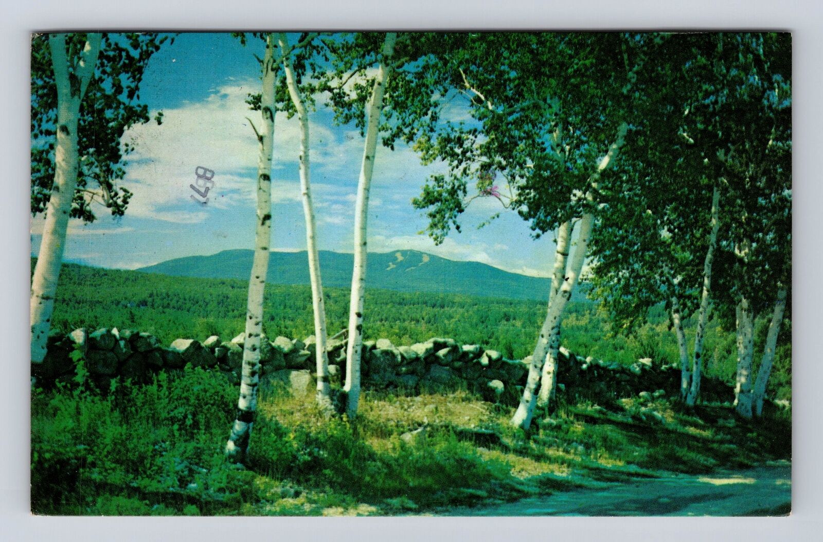 Binghamton NY- New York, Scenic General Greetings, Vintage c1976 Postcard
